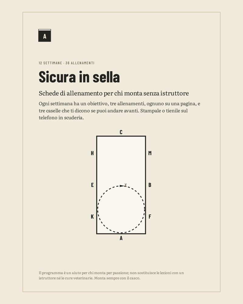 Pagina del programma