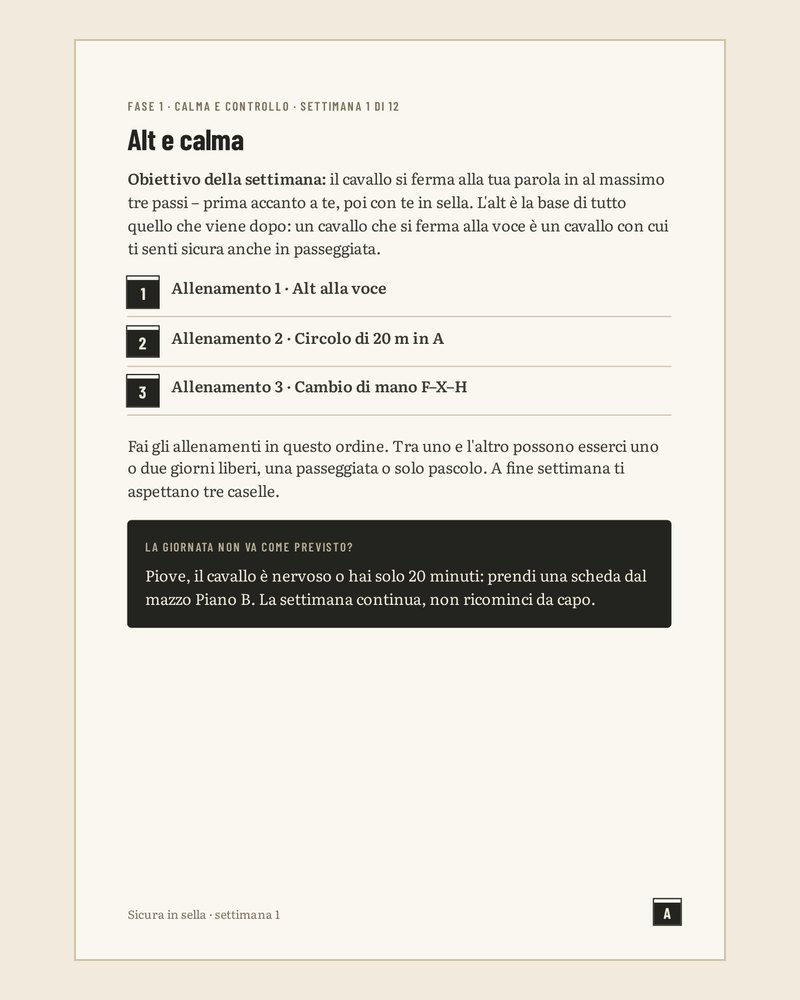 Pagina del programma