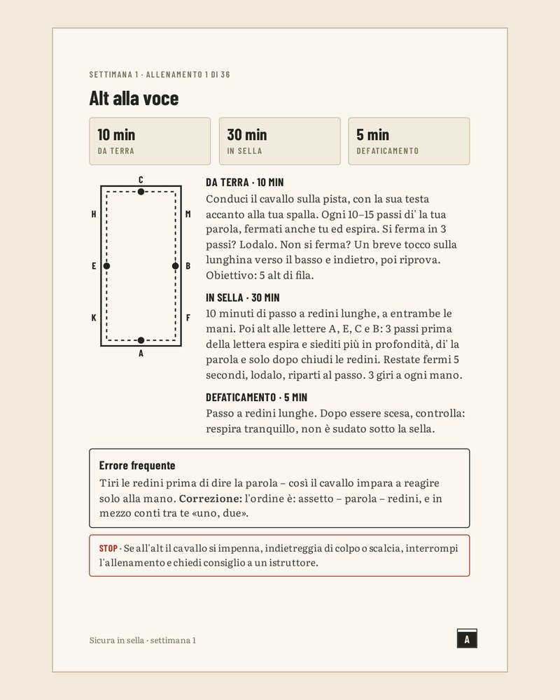 Pagina del programma