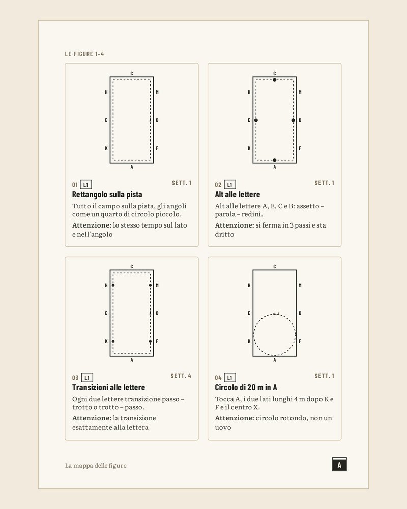 Pagina del programma