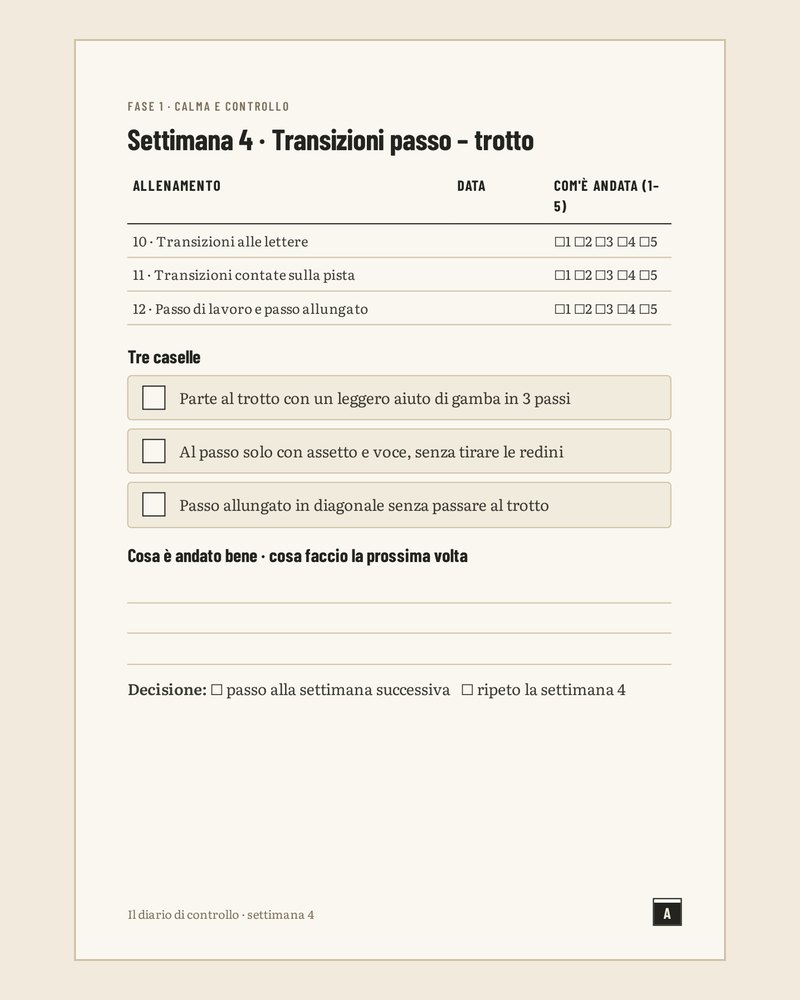Pagina del programma
